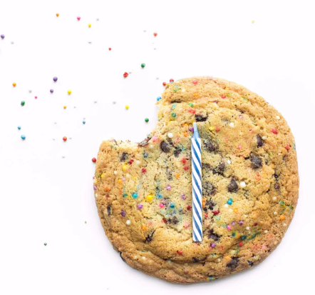 sullivan bleeker birthday
